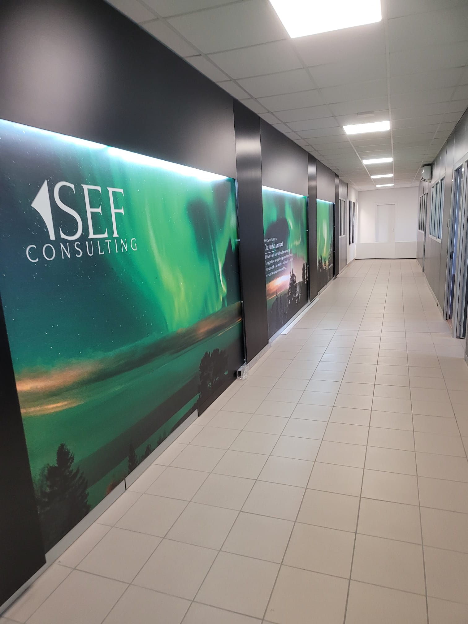 SEF CONSULTING