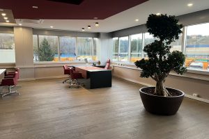 WhatsAppImage2022-03-22at17.17.14