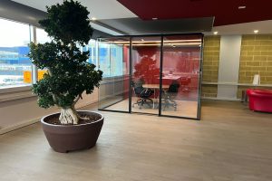 WhatsAppImage2022-03-22at17.17.151